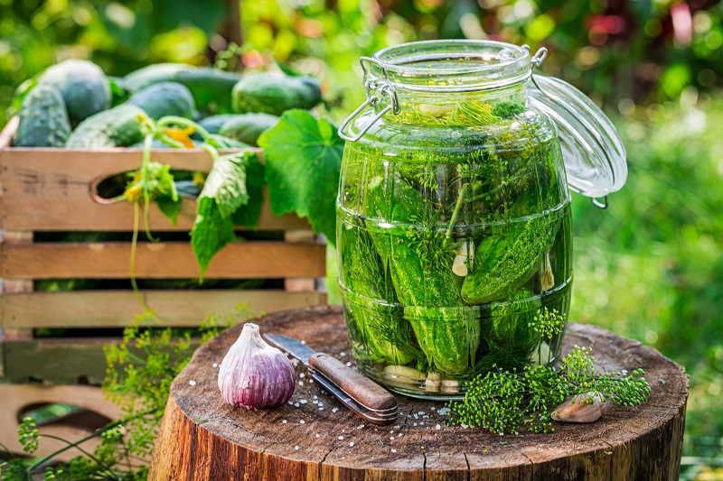 Pickled,Cucumber,With,Garlic,,Dill,And,Horseradish