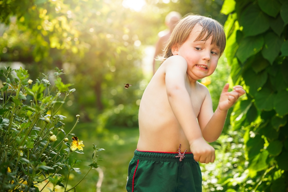Toddler,Boy,Dodging,Flying,Bumblebee,In,Summer.,Emotional,Child,Affraid