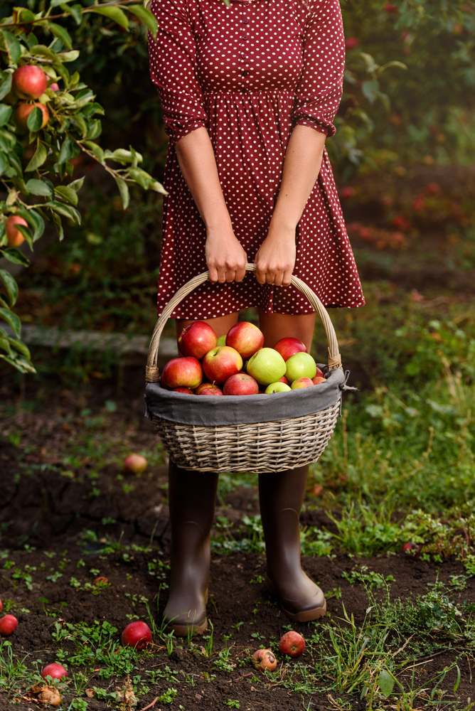 A,Young,Woman,Holding,Basket,With,Apples