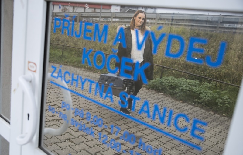 Whiskas_adopce_kocekIMG_0931
