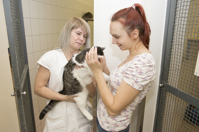 Whiskas_adopce_kocekIMG_1150
