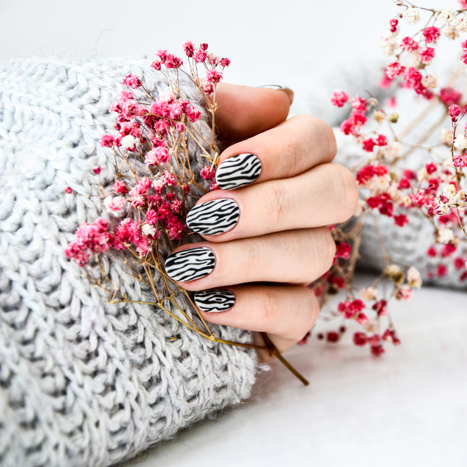 Hand,In,Sweater,And,Pink,Flowers,With,Zebra,Animal,Printed