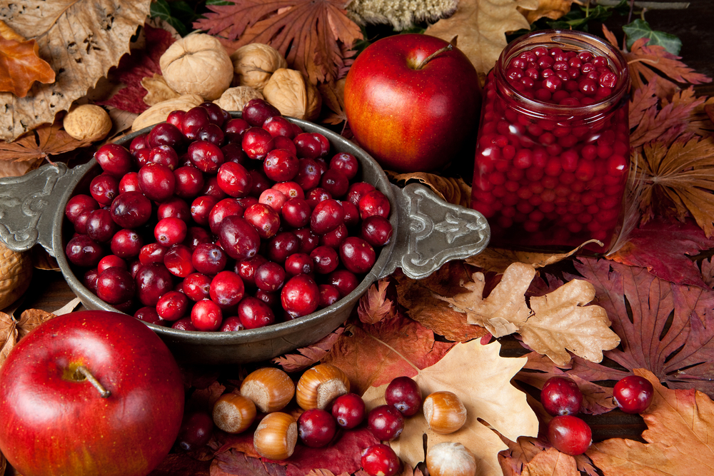 Thanksgiving,Still-life,With,Cranberries,,Autumn,Leaves,,Apples,And,Nuts