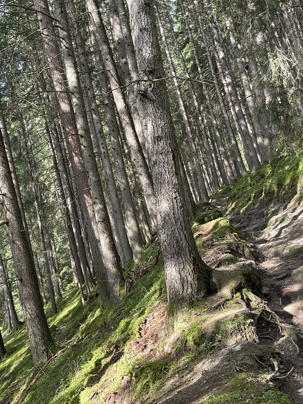 Zillertal (31)