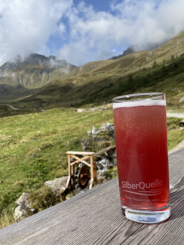 Zillertal (36)