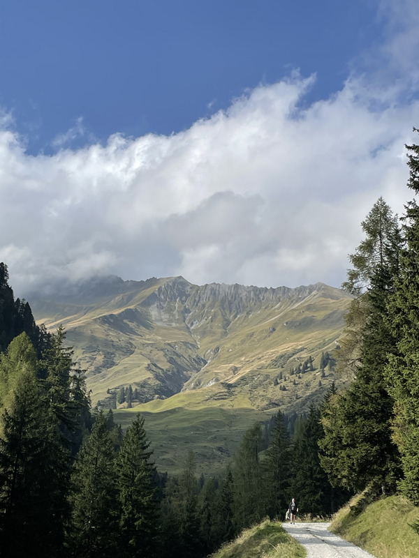Zillertal (7)
