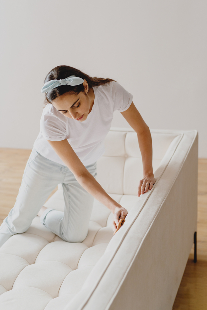 Portrait,Of,Woman,Cleaning,White,Sofa,With,Rag,In,Living