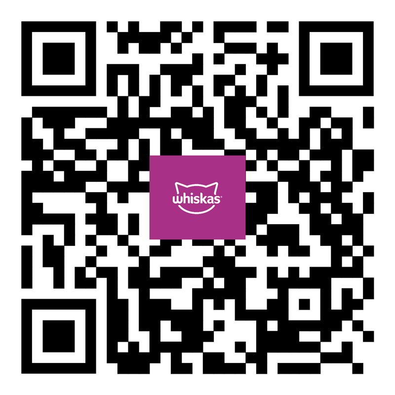 QR kód_Vrnistická mňaukce