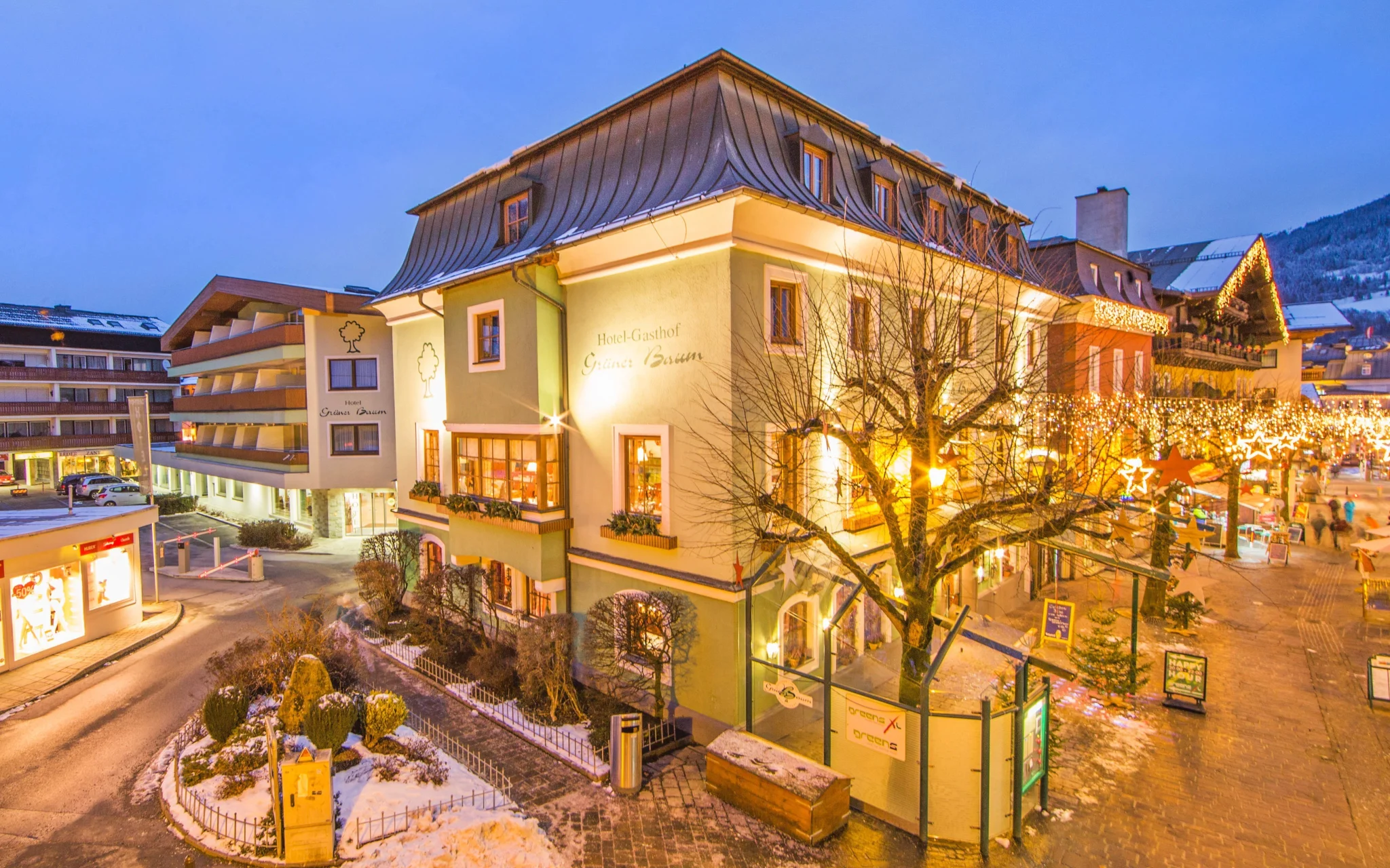 05_rakousko_zell_am_see_gruner_baum_01