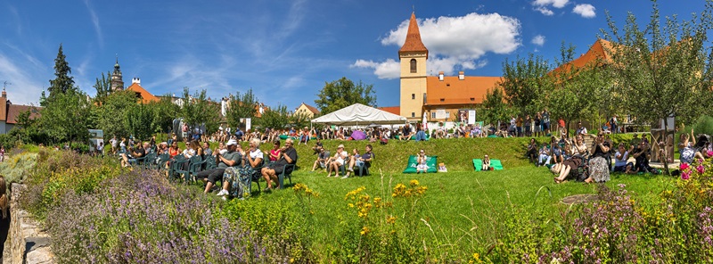 Festivalova-zona-header
