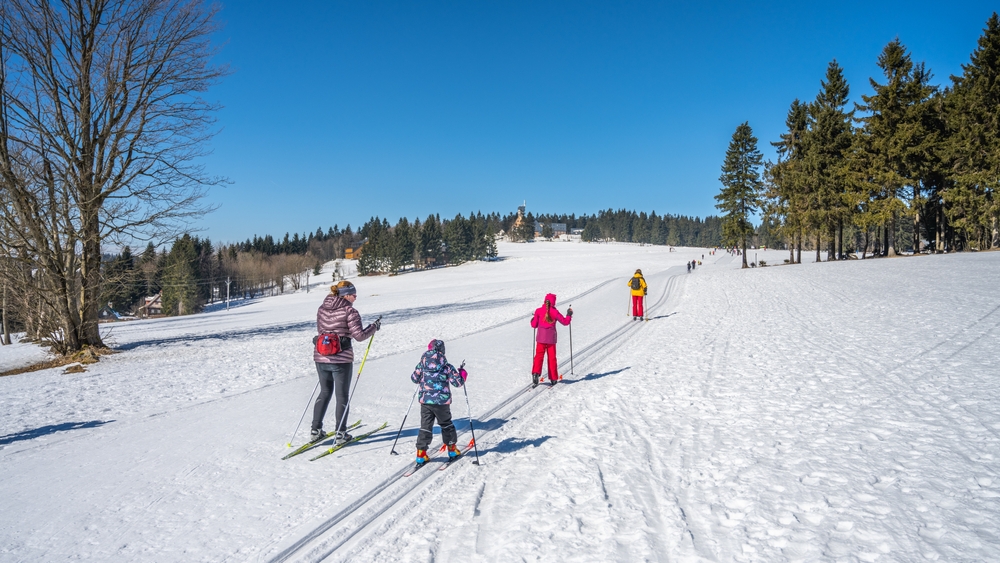 Young,Cross,Country,Skiers.,Family,Trip,On,Sunny,Winter,Day.