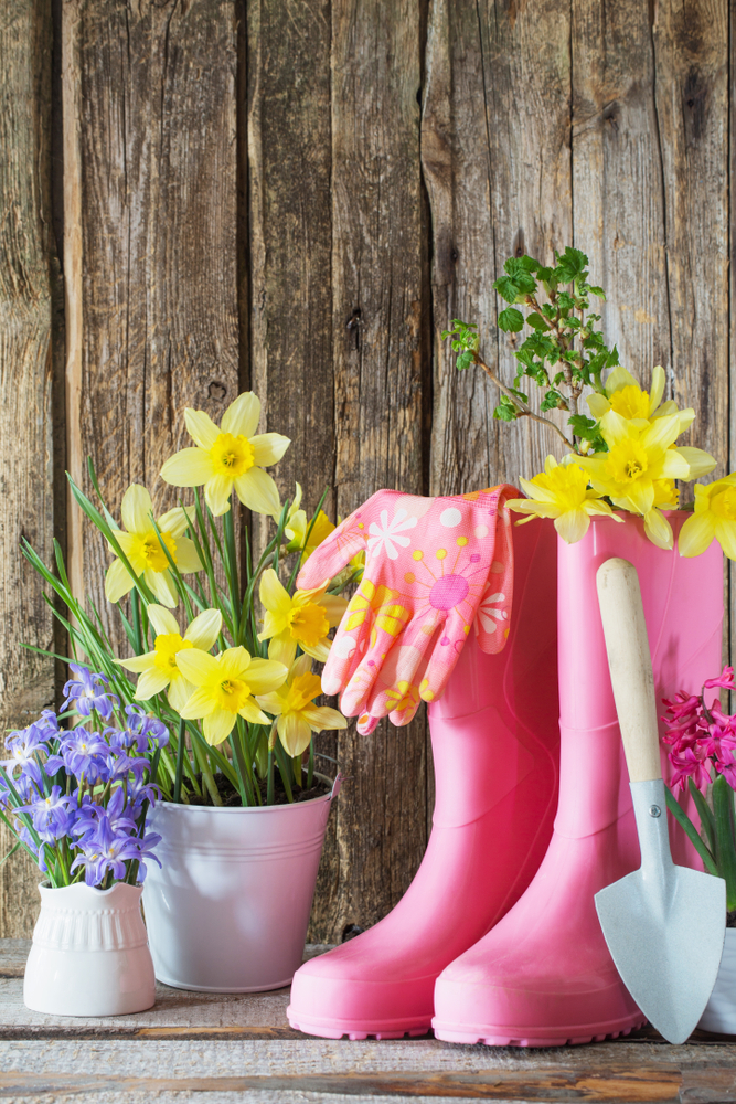 Rubber,Boots,And,Spring,Flowers,On,Wooden,Background
