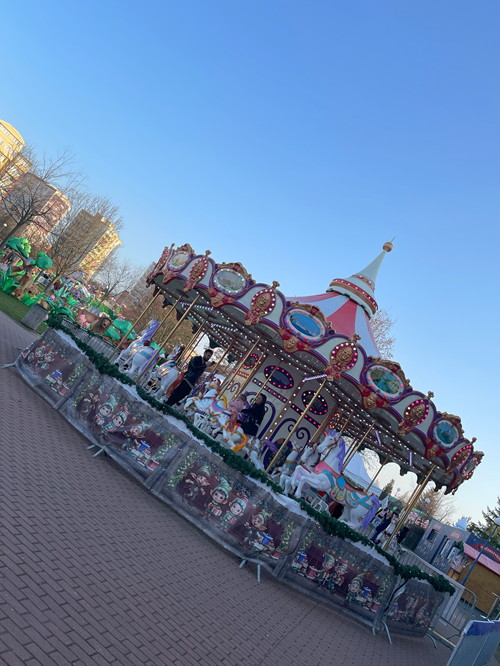 winter wonderland (5)