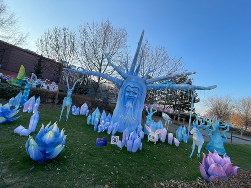 winter wonderland (6)