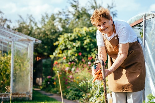 Portrait,Of,Happy,Old,Woman,Pensioner,Holding,In,Her,Hands