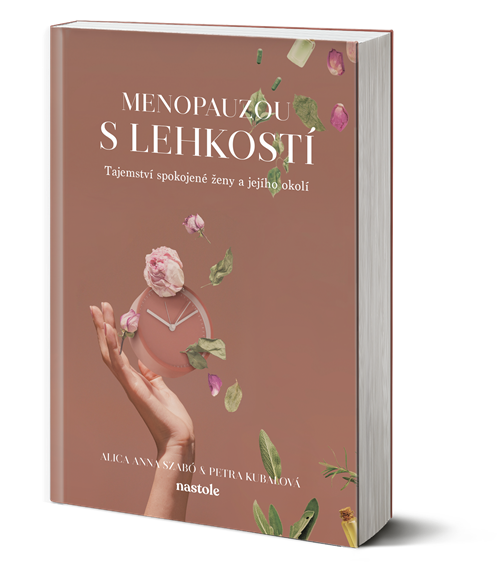 a101B0N0005174_Menopauzou-s-lehkosti_3d-o_FLAT