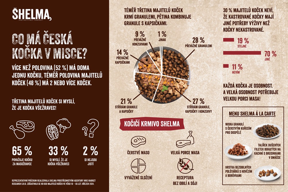 Infografika_Shelma