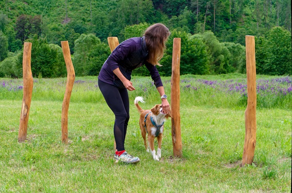 Otevření Purina psího hřiště v Sázavě ve Středočeském kraji