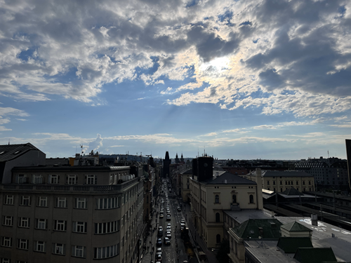 IMG_8696