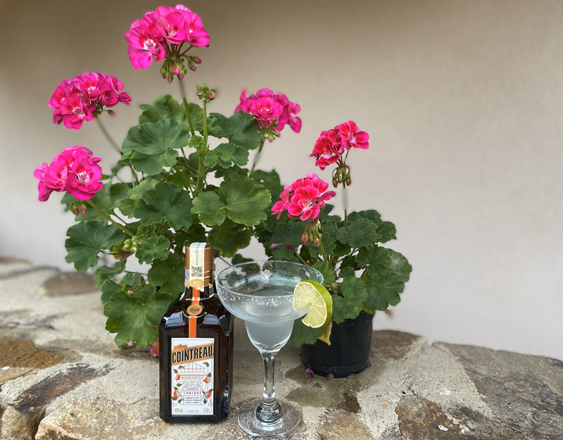 Classic Margarita