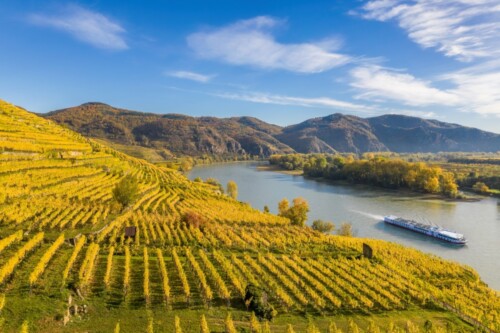 Autumn,Panorama,Of,Wachau,Valley,(unesco,World,Heritage,Site),With