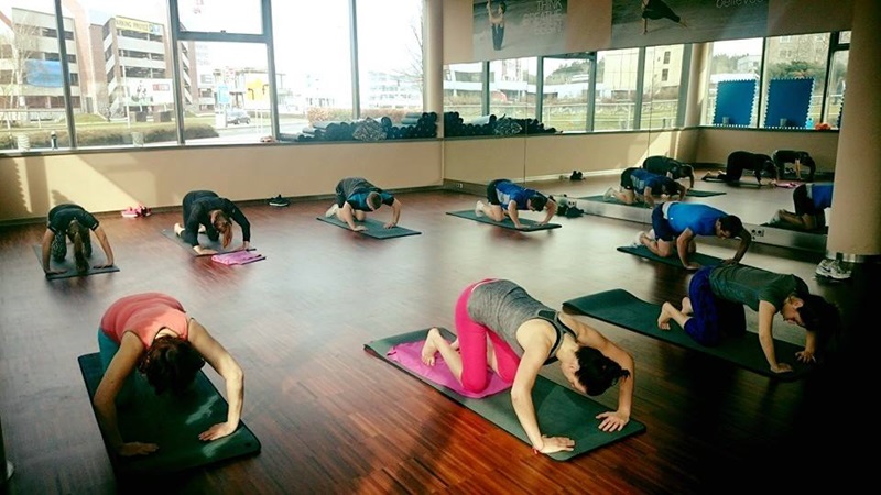 re-fit II hipo
