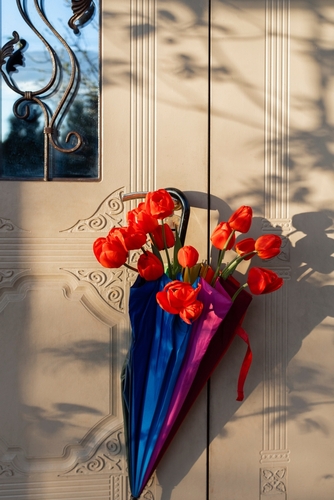 Beautiful,Red,Tulips,In,A,Multi-colored,Umbrella,Hanging,On,The