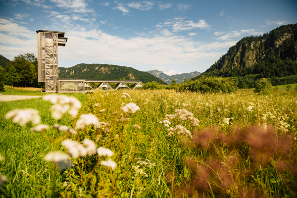 Kaiserwinkl_Sommer (25)
