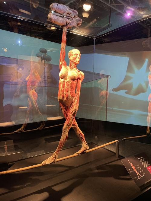IMG_4058