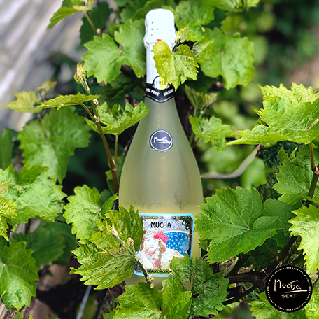 Mucha_Sekt_Nealko_bileLOW