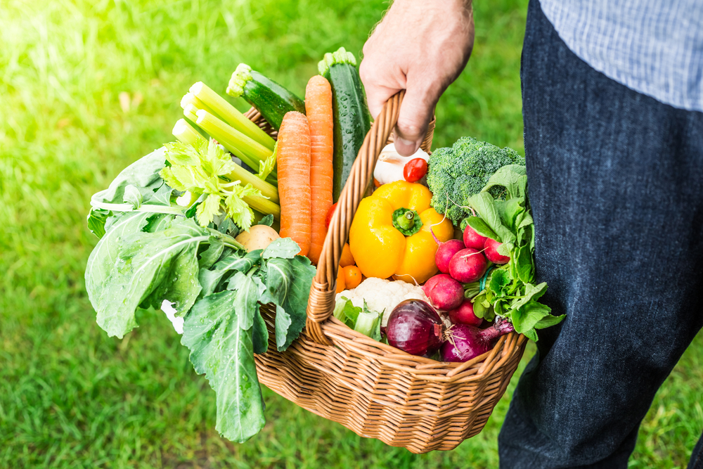 Gardener,Holding,Wicker,Basket,Filled,With,Colorful,Organic,Spring,Local